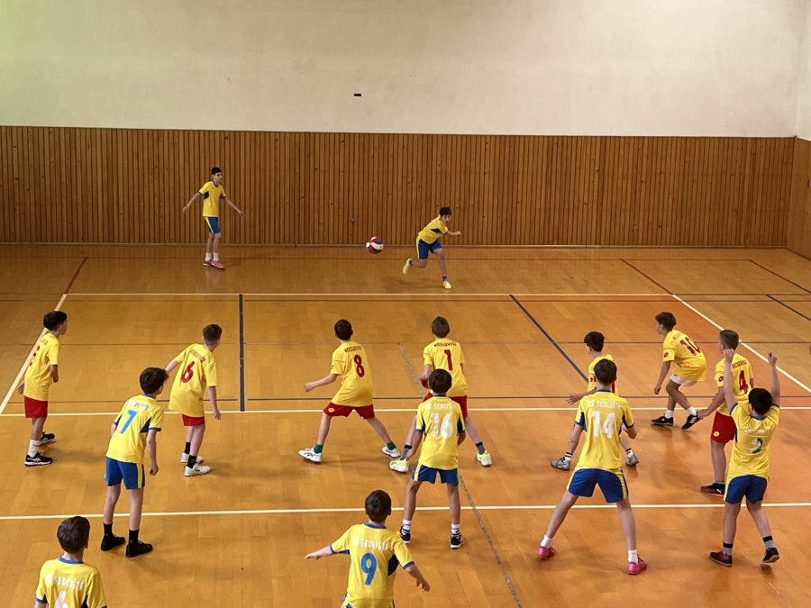 Žáci ze Sedlišť mezi nejlepšími ve vybíjené